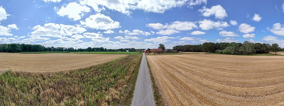 Case Example: Selling a Large Acreage Property with Drones