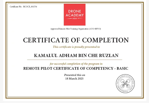 Is a Professional Pilot Necessary?