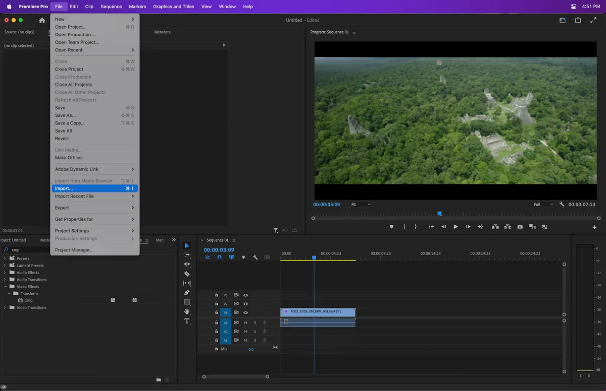 Is Premiere Pro good for drone video editing?