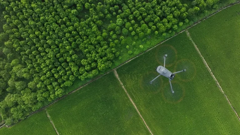 What white balance should I use for drone footage?